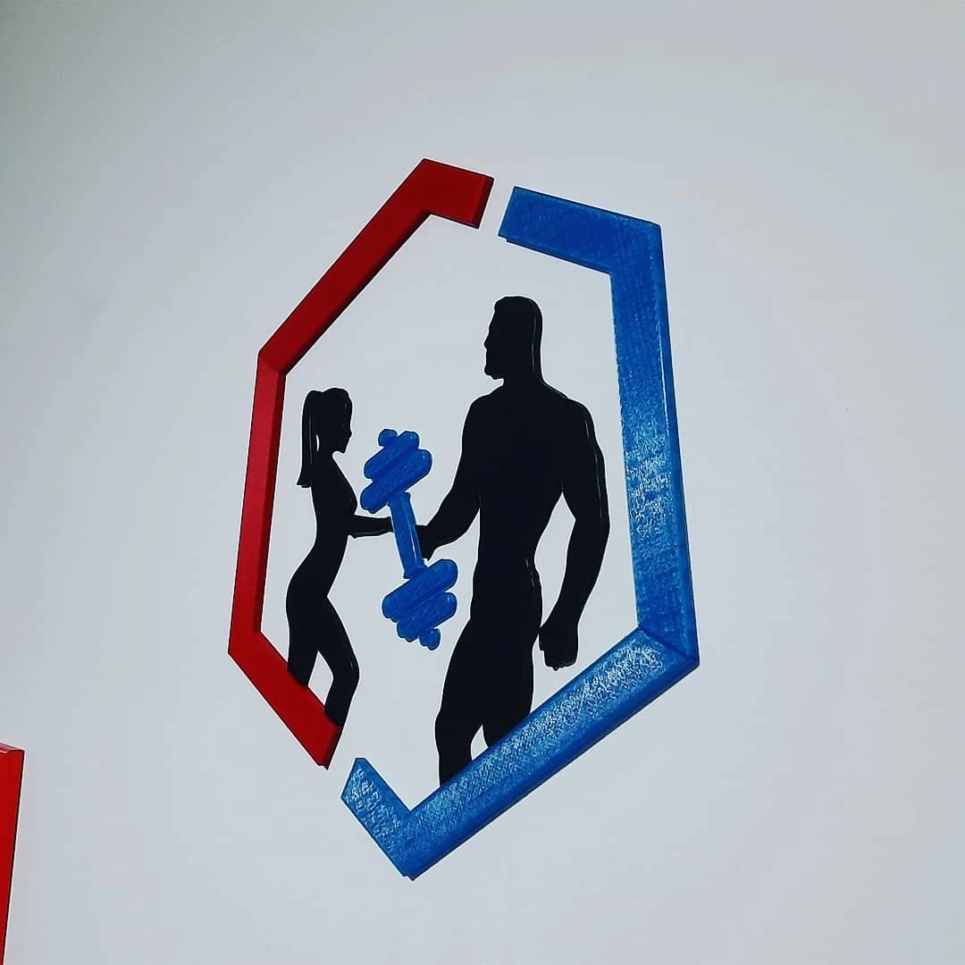 Serio Fitness Studio 3D Printed Logo